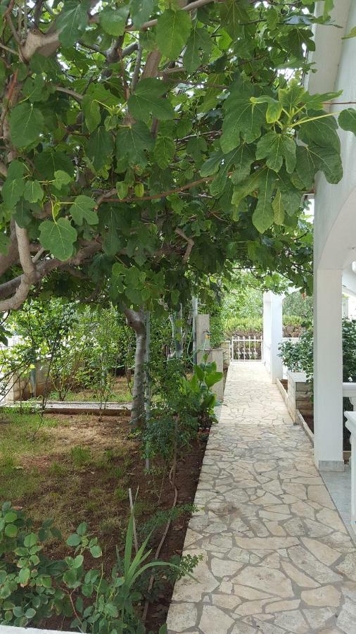 Apartments Marijeta Вир Екстериор снимка